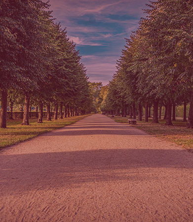 Michael F. Köhler Immobilien - Anlagekauf